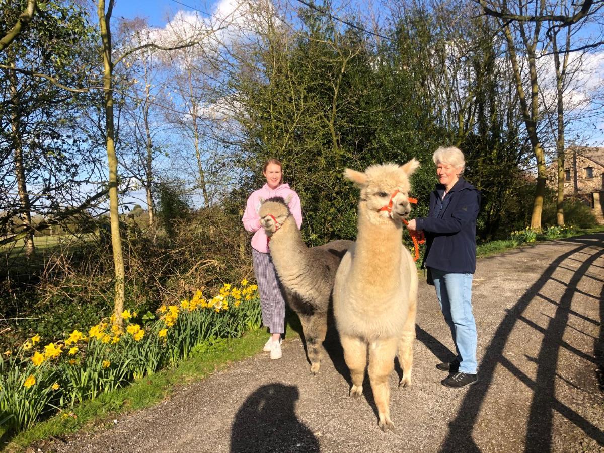 Vila Alpaca Fold Preston  Exteriér fotografie