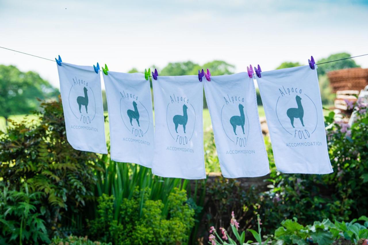 Vila Alpaca Fold Preston  Exteriér fotografie